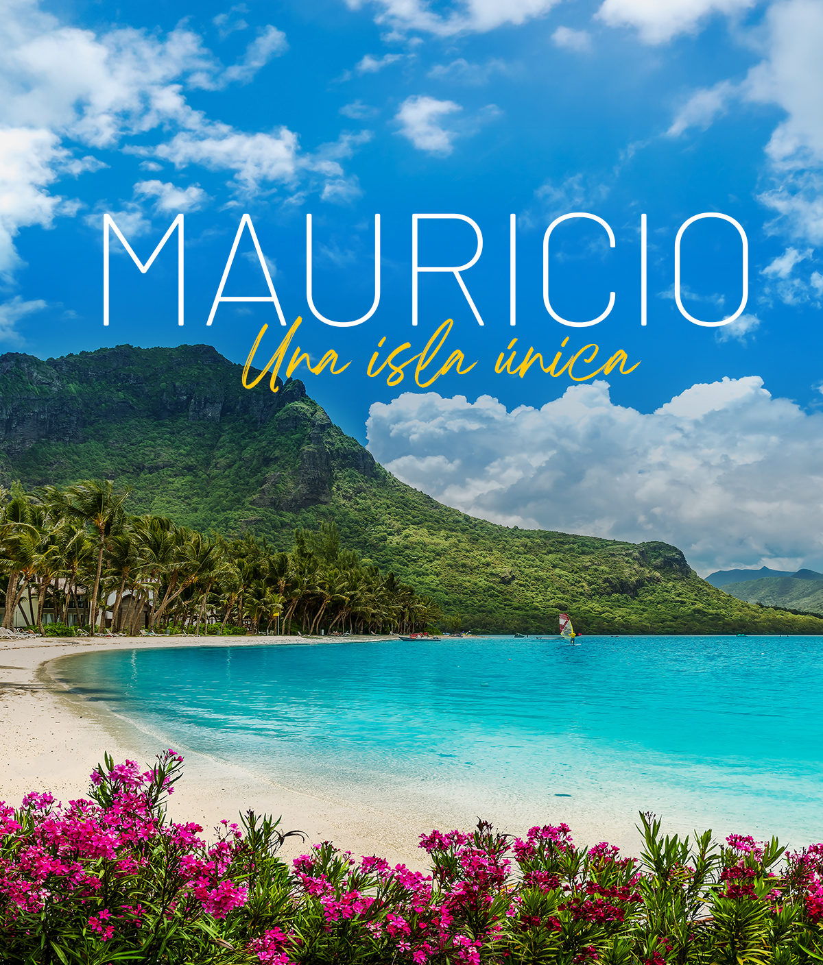 MAURICIO MOVIL OFIOTA