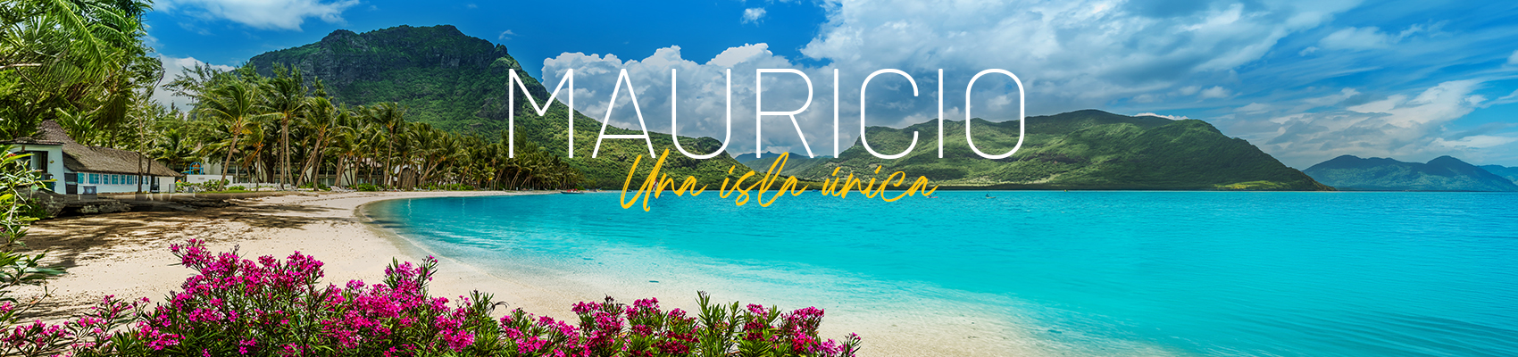 MAURICIO HOME OFIOTA