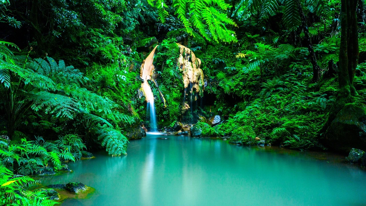 https://vacaciones.traveleando.es/viajes/assets/upload/d1855.webp