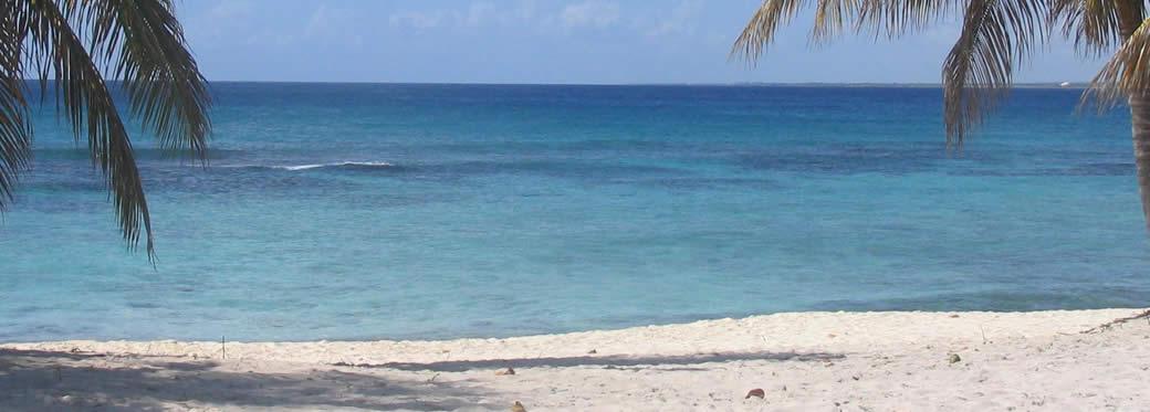 https://vacaciones.traveleando.es/viajes/assets/upload/d5791.jpg