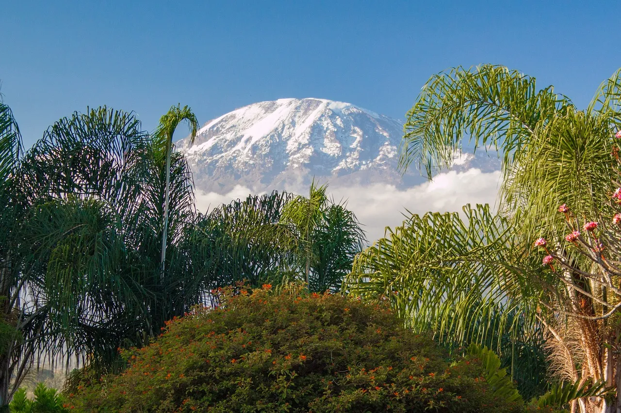 https://vacaciones.traveleando.es/viajes/assets/upload/p196.webp